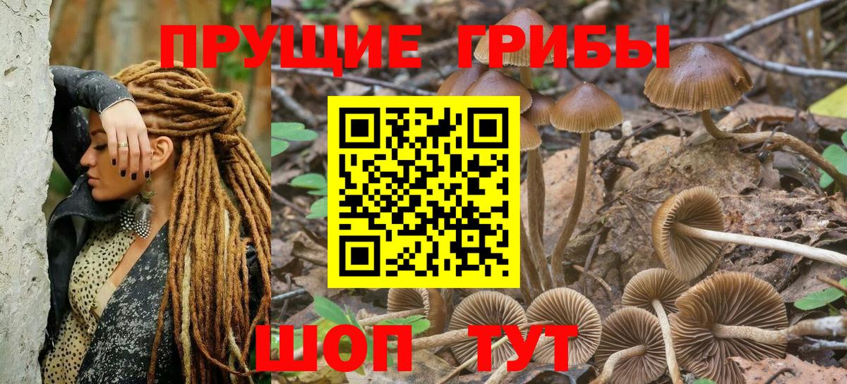 Псилоцибиновые грибы Magic Shrooms Нововоронеж