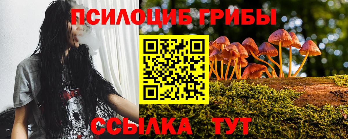 где купить наркоту  Псилоцибиновые грибы ЛСД  Вход с VPN  Нововоронеж 